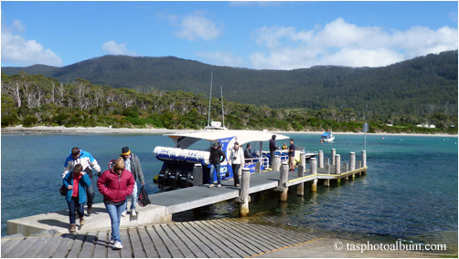 Tasmania, Tasman Peninsula, Cape Pillar cruise boat